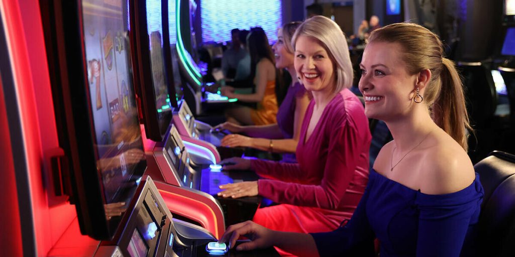 돌리고슬롯 도메인